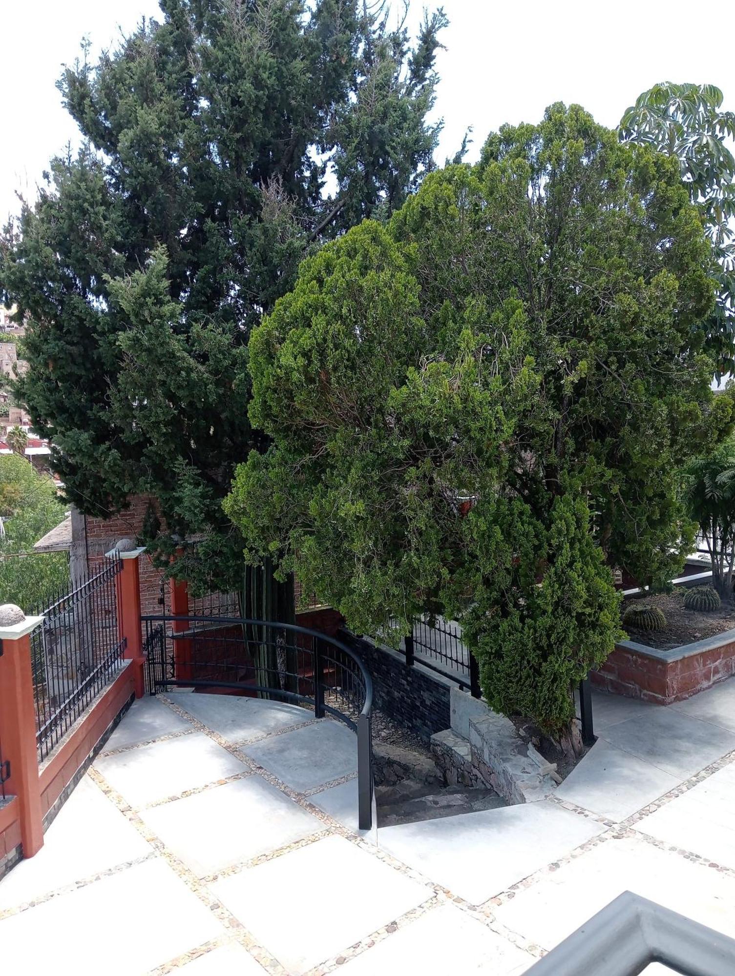 Quinta Mercedes Guanajuato Luaran gambar