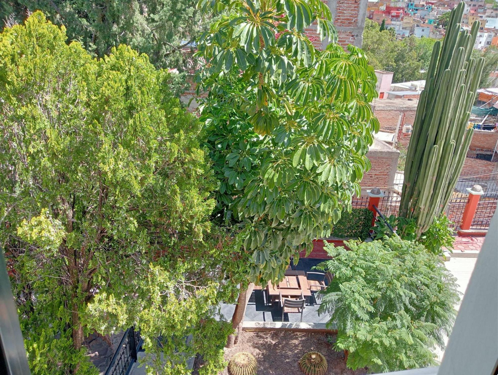 Quinta Mercedes Guanajuato Luaran gambar
