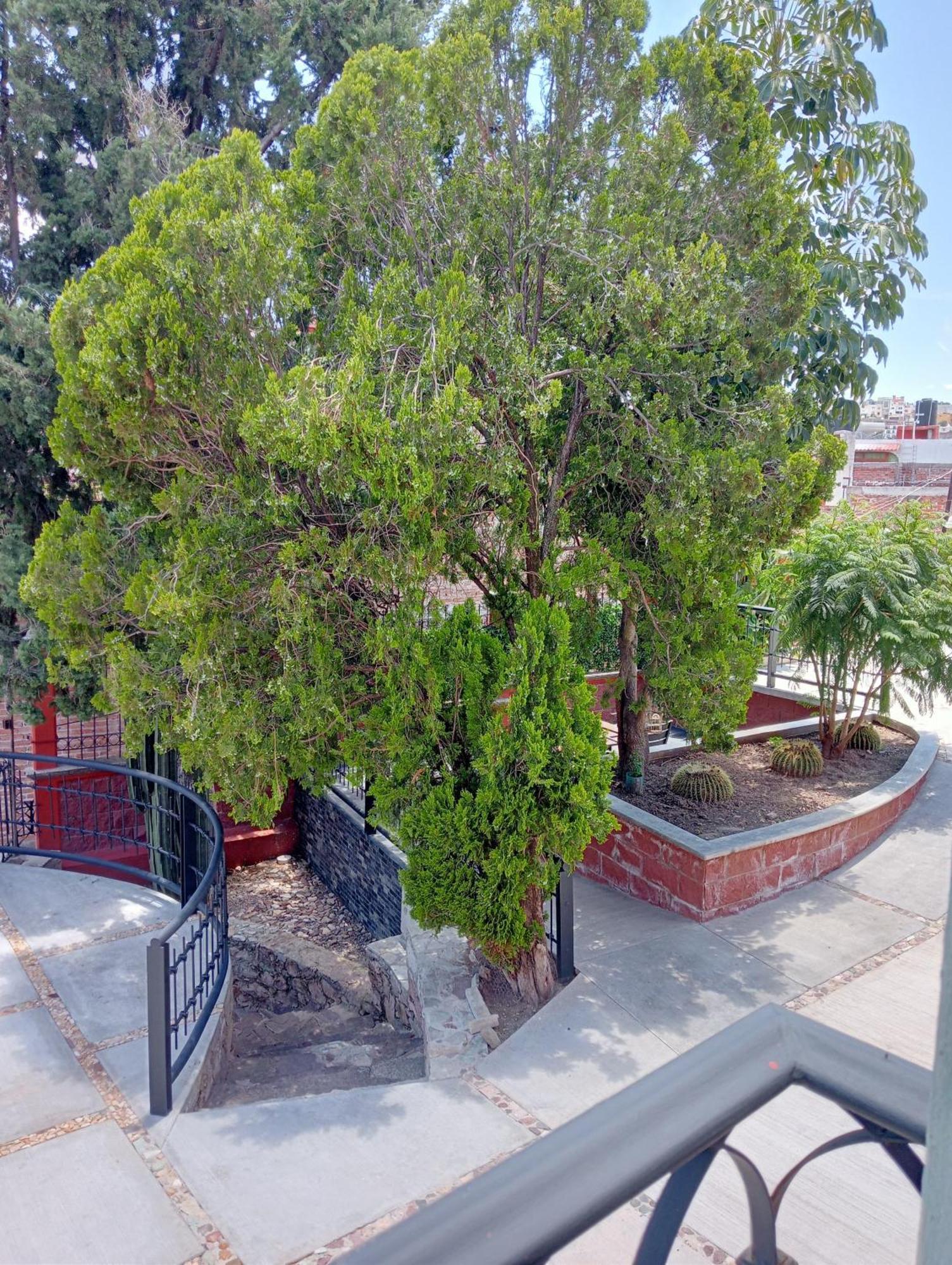 Quinta Mercedes Guanajuato Luaran gambar
